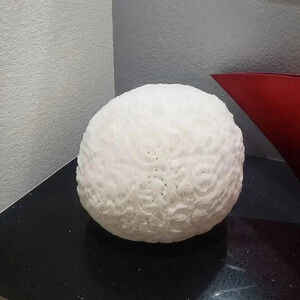 Pier 1 Round Poof Pillow